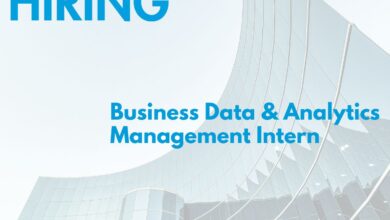 Business Data & Analytics Management Internship