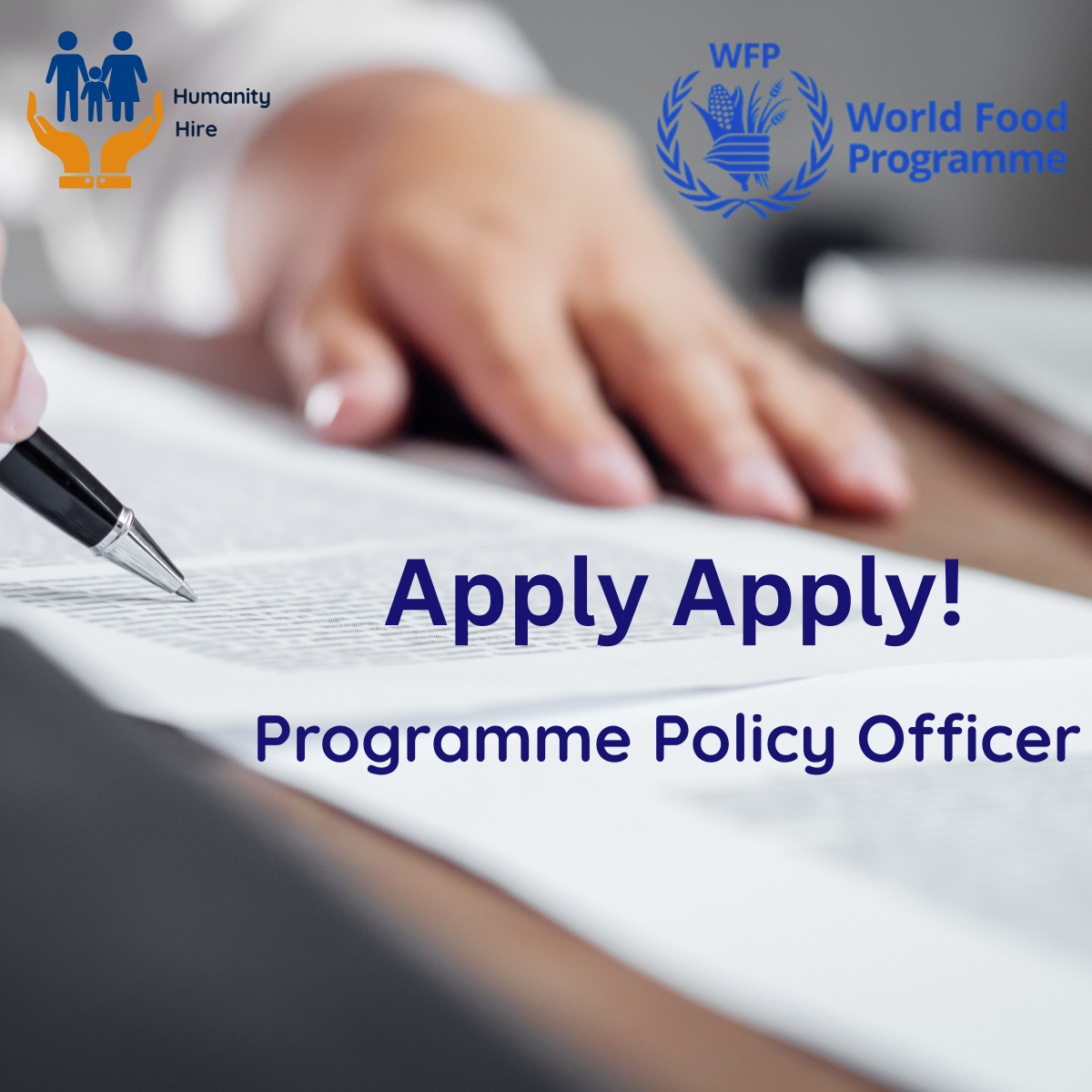 Programme Policy Officer