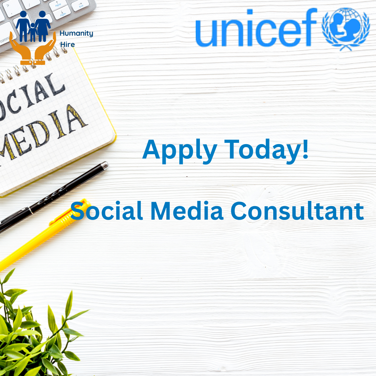 Social Media Consultant