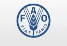 FAO – Forestry Policies Specialist
