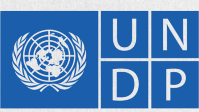 Project Management Support – Intern