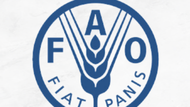 Join FAO as a Programme Officer
