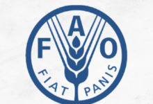 FAO National Project Coordinator (2026)
