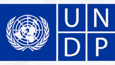 UNDP Knowledge Management Intern (Home-Based) (2026)