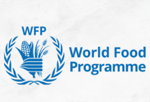 WFP Programme Policy Officer – Social Protection & Resilience (2026)