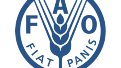 FAO Technical Communications Specialist : Home-Based (2026)
